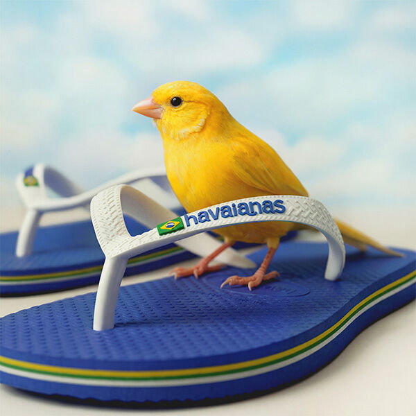HAVAIANAS Brasil Logo - MARINE BLUE